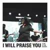 Flame Of Fire Worship - I Will Praise You (feat. Alex Zablotskiy) - Single